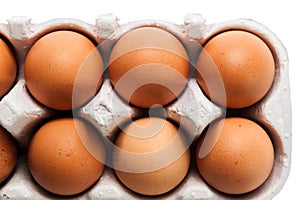 Brown chicken eggs in pack on white