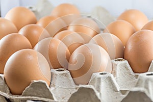 Brown chicken eggs in paper carton box