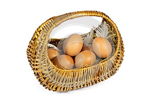 Brown Chicken Eggs and Pen in a Wicker Basket Isolated on White
