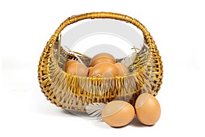 Brown Chicken Eggs and Pen in a Wicker Basket Isolated on White