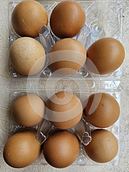 Brown chicken eggs in a plastic package on white background.