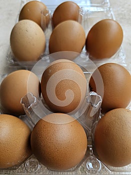 Brown chicken eggs in a plastic package on white background.