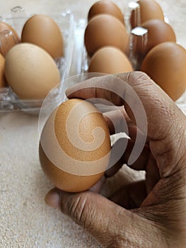 Brown chicken eggs