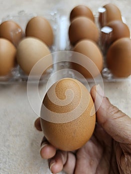 Brown chicken eggs