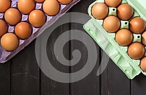 Brown chicken eggs in purple and light green carton