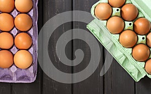 Brown chicken eggs in purple and light green carton