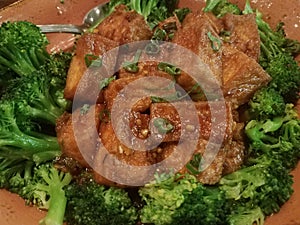 Brown Chinese tofu in dish with green broccoli