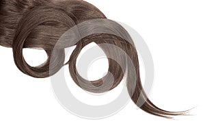 Brown chocolate hair isolated on white background. Long beautiful ponytail in shape of circle