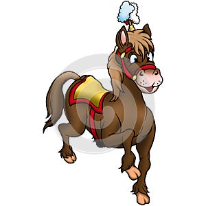 Brown circus Horse