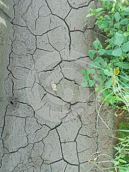 Brown clay in drained waterways and green grass