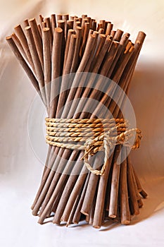 Coconut Leaf Straws Bundle
