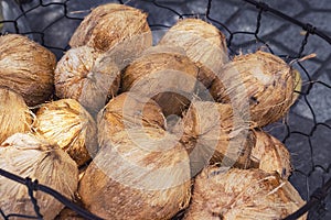 Brown coconuts with shell
