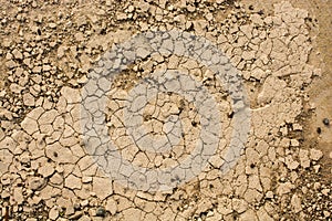 Brown color dry cracked muddy earth