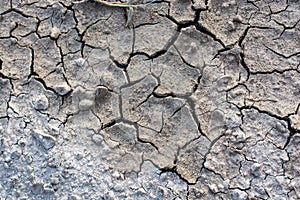 Brown color dry cracked muddy earth
