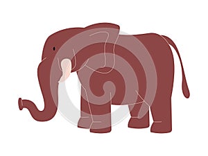 brown color elephant large mammal animal have long trunk and big tusk herbivore creature