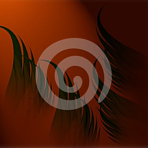 Brown color shaded background with feather
