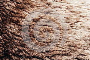 Brown colored animal fur texture backdrop photo