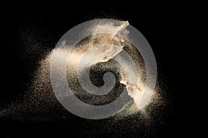 Brown colored sand splash.Dry river sand explosion isolated on black background. Abstract sand cloud