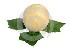 The brown colour muskmelon with green leaves isolated in white background