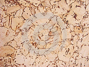 Brown cork background surface