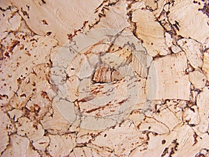 Brown cork background surface with beautiful texture