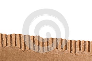 Brown corrugated cardboard torn piece  on white background