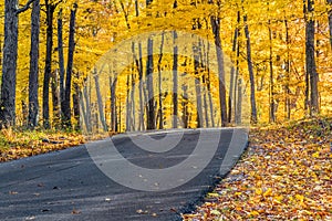 Brown County Autumn Road photo