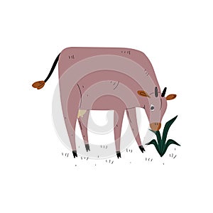 Brown Cow Grazing on Meadow, Dairy Cattle Animal Husbandry Breeding Vector Illustration