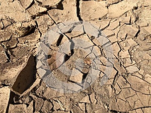 Brown cracked soil ground surface and dried leaves, drought concept