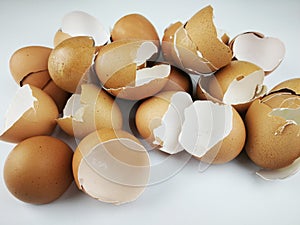 Brown and cream colored egg shells