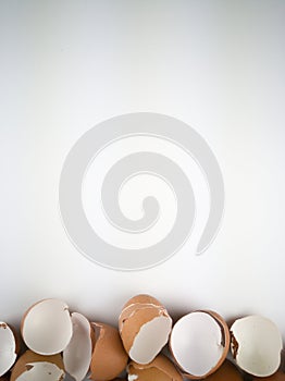 Brown and cream colored egg shells
