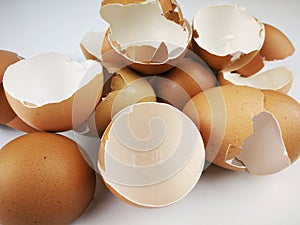 Brown and cream colored egg shells