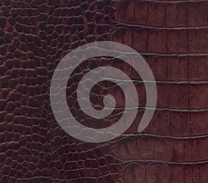 Brown crocodile leather texture