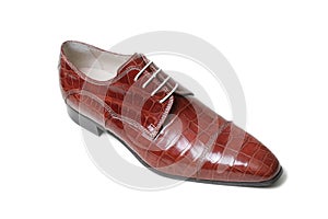 Brown crocodile's leather shoe