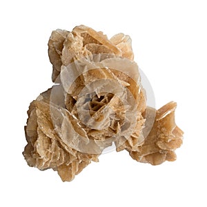 Brown crystal desert rose on a white background