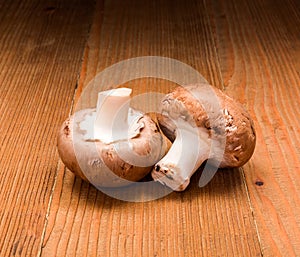 Brown cultivated champignons