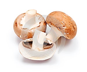 Brown cultivated champignons