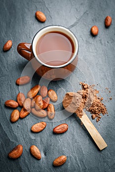 Brown cup of fresh cocoa drink with cocoa beans and powder