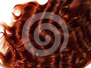 Brown Curly Hair Texture. High quality image.