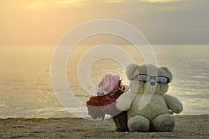 Brown cutie bear doll and flowers basket sit on the beach floor