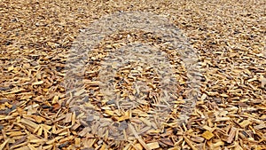 Brown damp wood chips or mulch on ground photo