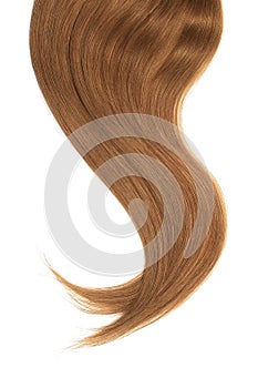 Brown dark hair isolated on white background. Long beautiful ponytail
