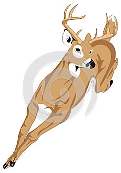 brown deer animal vector illustration transparent background