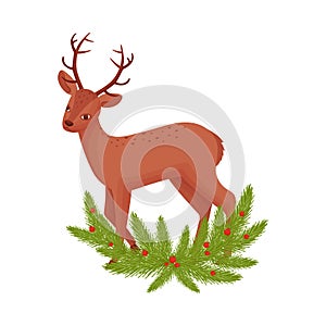 Brown Deer Near Fir Tree Twigs. Hoofed Ruminant Mammal Standing in Branches Vector Illustration