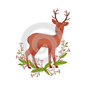 Brown Deer Near Fir Tree Twigs. Hoofed Ruminant Mammal Standing in Branches Vector Illustration