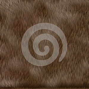 Brown dog fur texture