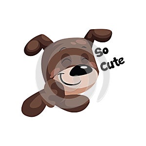 Brown dog with a smile saying So cute vector illustration on a