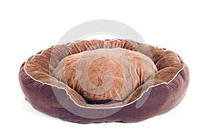 Brown dogbed on white