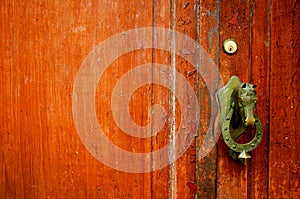 Brown door with bronze horse head doorhandle