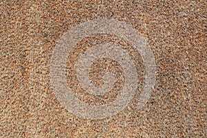 Brown doormat texture. Natural carpet texture photo
